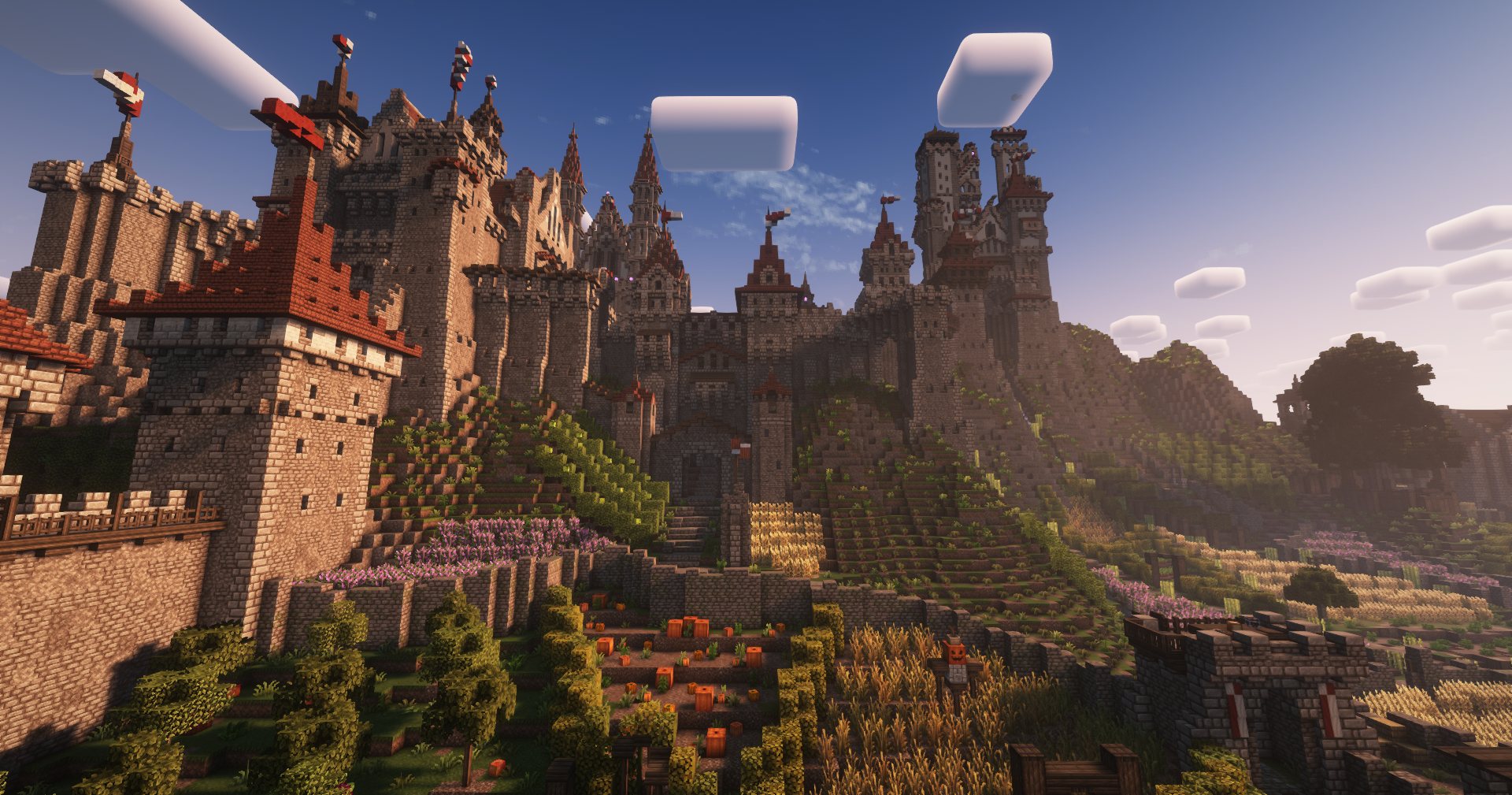 Château et cité médiévale au soleil