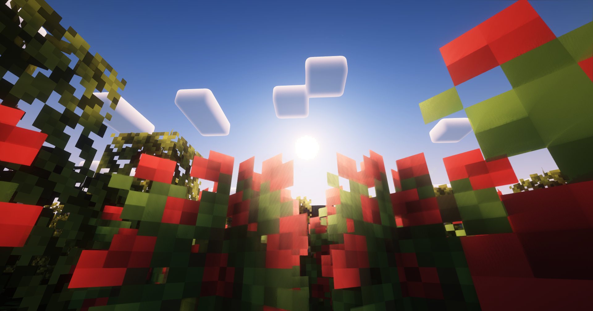 Coquelicots en gros plan sous le soleil, dans Minecraft